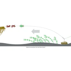 Bas de ligne monté silure madcat screaming basic river worm & squid