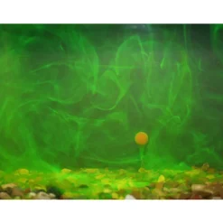 Booster carpe goo pineapple supreme bait smoke