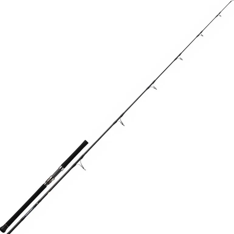 Canne Casting Daiwa Saltiga 2.51m max 120g
