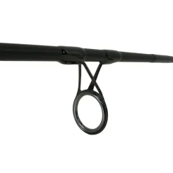 Canne Léon Hoogendijk Black Diamond NG 12' 3.5 lbs