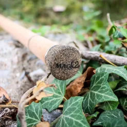 Canne Mack2 Falcon LTD 12' 3.5 lbs