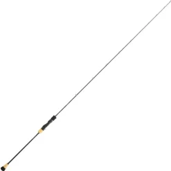 Canne slow jigging daiwa saltiga 1.85m 250/400g