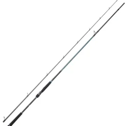 Canne Spinning DAIWA Caldia Seabass 702HFS 2m13 14-42g