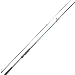 Canne Spinning DAIWA Caldia Seabass 702XHFS 2m13 28-84g