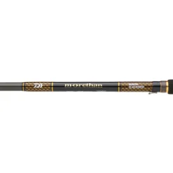 Canne Spinning DAIWA Morethan Branzino Expert 2m44 14-42g