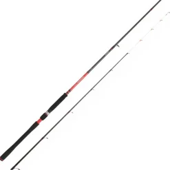 Canne Tenya Daiwa powermesh 242h 2.40m 20-70g