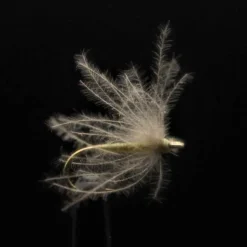 CDC olive JMC 131 H16 (x3)