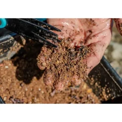 Ciseaux à vers Rive