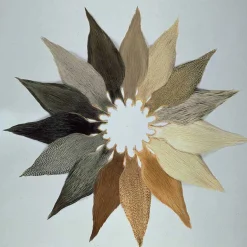 Demi cou de coq metz grade 3 naturel