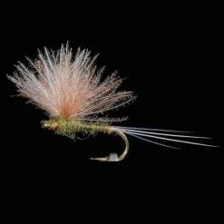 Emergente JMC 21 H18 (x3)