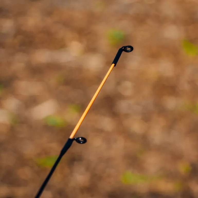 Ensemble Teos Feeder X-Plor Feeder 300