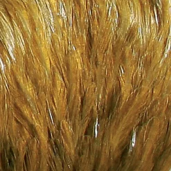 Fly fishing plumes jmc cou indien top grade jmc