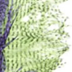 Fly tying plumes autruche zebrée jmc