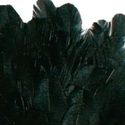 Fly tying plumes jmc cou de poule