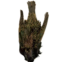 Fly tying plumes jmc peau d'étourneau entière