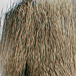 Fly tying poils de cerf jmc
