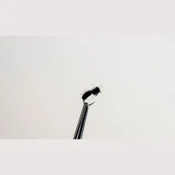 Foumis Noires H18 (x3)