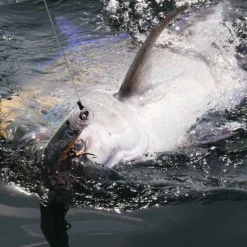 Leurre de surface popper tackle house feed popper 100 10cm 21g