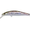 Leurre Dur Jerkbait Jackson Artist 65HW 6.5cm 7.5g