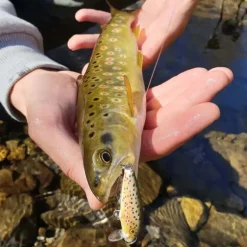 Leurre Dur Jerkbait Rapala Countdown 03 3cm 4g