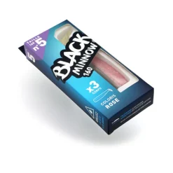 Leurre souple fiiish corps black minnow 160 16cm (x3)