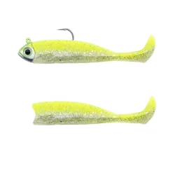 Leurre Souple Prémonté Fiiish Master Shad Combo Light 8g + Corps 10cm