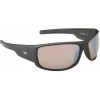 Lunette Polarisante Daiwa Sport Verre Gris