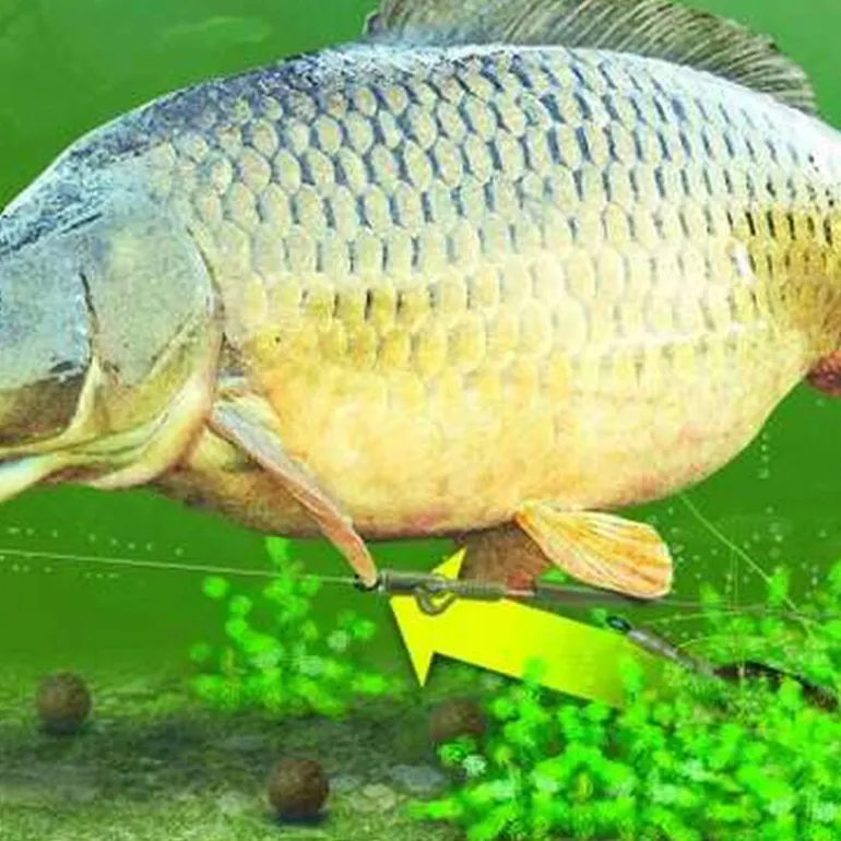 Montage carpe korda lead clip action pack