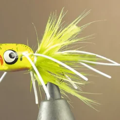 Mouche jmc popper bass 50 popper h10