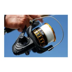 Moulinet daiwa bg black gold 8000