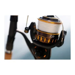 Moulinet daiwa bg black gold 3500