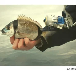 Moulinet Sasori blue motion 6000 fd