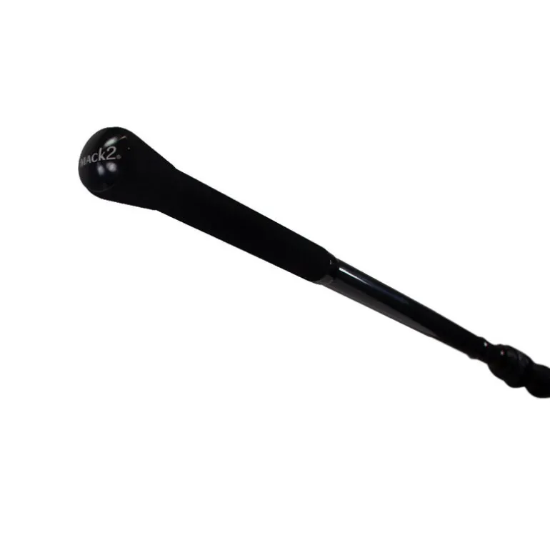 Pack 2 Cannes Carp Addict TR 10' 3lbs + 2 Moulinets 6000 FR + Fourreau