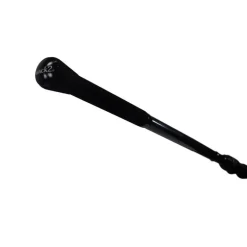 Pack 2 cannes Mack2 carp addict TR 10' 3.5 lbs + fourreau