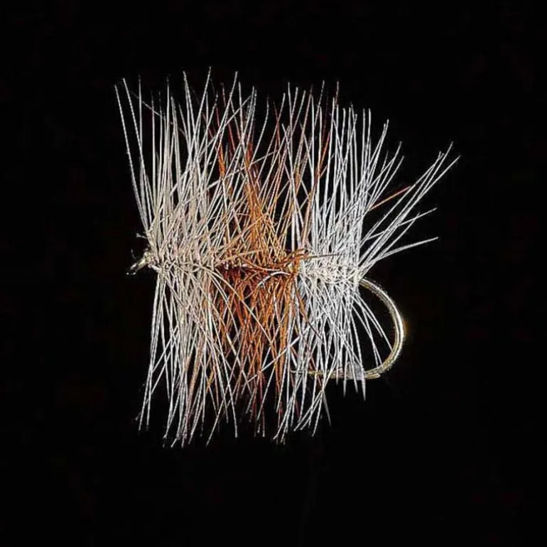 Palmer JMC Tricolore Claire H12 (x3)