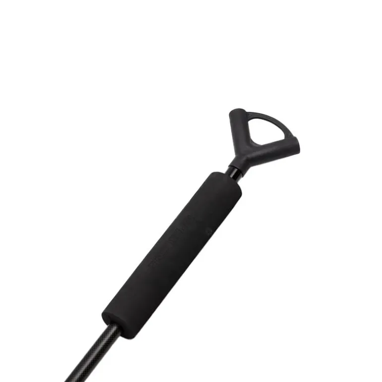 Épuisette Prologic C2 Element FS Landing Net and Float