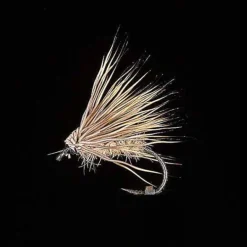 Sedge Chevreuil clair H14 (x3)