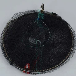 Selection nasse poisson-chat