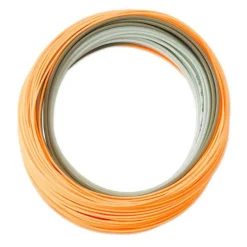 Soie intermédiaire orvis bank shot intermediate wf