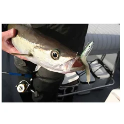 Tete plombee fiiish crazy sand eel 150 deep 30g (x2)