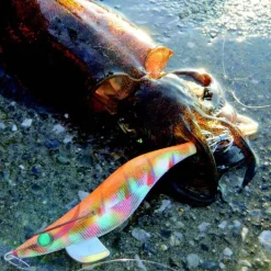 Turlutte mer yamashita egi sutte r 3.0 11.5cm 15g